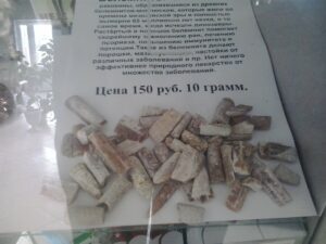 Окаменелости